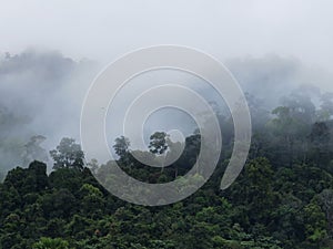 Clouds over tropical jungle in Kuala Tahan (Taman Negara National Park in Malaysia)