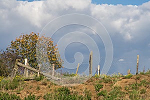 Clouds pile up behind a slope with a fence and a tree.