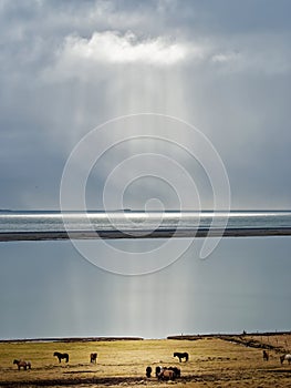 Clouds and rays of light over iceland south coast in winter