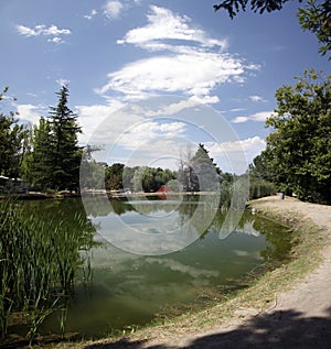 Clouds Reflected in Lake Water