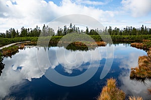 Clouds reflecting in dark swamp water of Lovrenska lakes, Slovenia