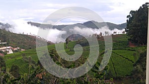 Clouds rising up in Tea Estate