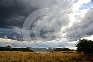 Clouds rolling over the African savanah