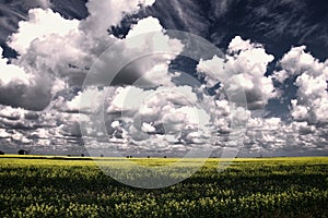 Clouds sailing over a North Dakota field