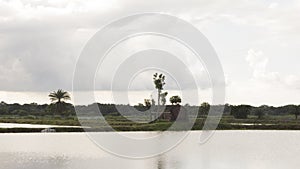 Clouds sky and beautiful scenary