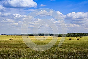 Clouds in the sky and the light of the sun on a field with beveled hay, harvested in the rolls on a clear summer day in August.