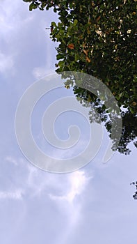 Clouds sky in the moorning