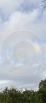 Clouds sky trees grass