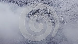 Clouds in the snowy mountain forest