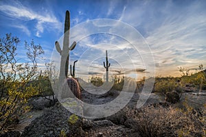 Clouds streak against the desert sky