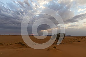 Clouds at sunset over the red desert sand