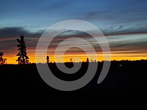 Clouds and Trees during an Alaskan Sunset