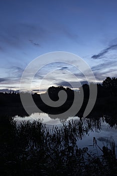 Clouds, trees and reeds reflected in the water of a lake at dawn, at sunrise