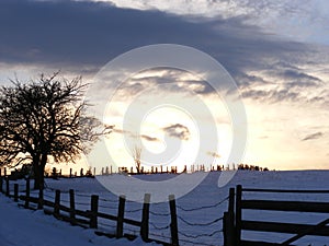 Clouds in winter - solitude tree
