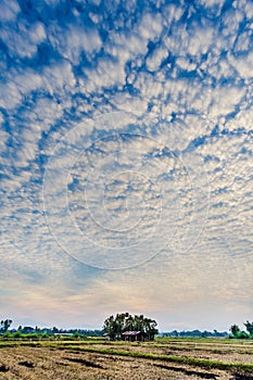 Cloudscape with altocumulus clouds