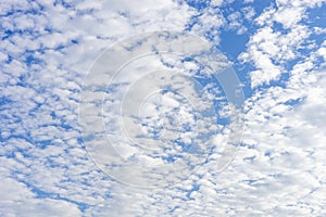 Cloudscape with altocumulus clouds, Altocumulus middle-altitude cloud in stratocumuliform photo