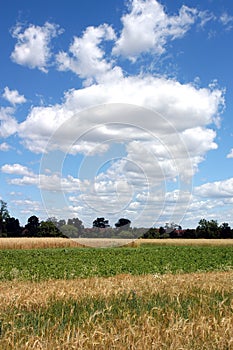 Cloudscape in countryside