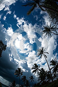 Cloudscape Dramatic Abstract with Blue Tropical Sky