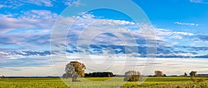 cloudscape, natural photo of the blue sky withwhite clouds. design element.