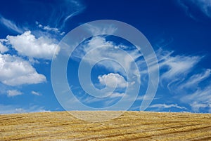 Cloudscape over straw field