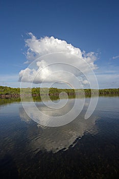 Cloudscape relfected in the waters of Biscayne National Park, Florida.