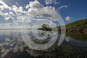 Cloudscape relfected in the waters of Biscayne National Park, Florida.