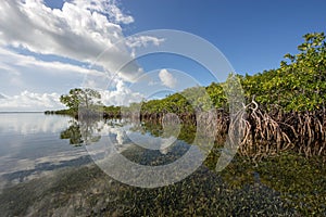 Cloudscape relfected in the waters of Biscayne National Park, Florida.