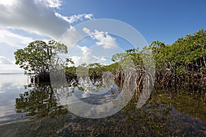 Cloudscape relfected in the waters of Biscayne National Park, Florida.