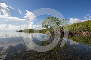 Cloudscape relfected in the waters of Biscayne National Park, Florida.