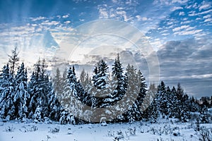 Cloudscape and winter scene