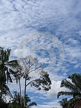 cloudy afternoon cheerful hari cerah