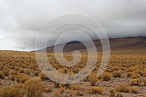 Cloudy Atacama Desert View photo