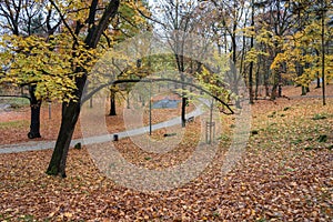 Cloudy autumn day in the park