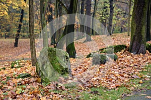 Cloudy autumn day in the park