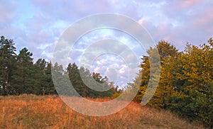 Cloudy autumn morning. Fresh nature. Bright sunrise in the meadow.