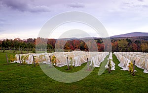 Cloudy autumn view of Mount Sutton