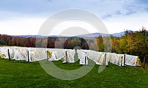 Cloudy autumn view of Mount Sutton photo