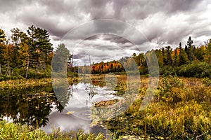 Cloudy autumn weather in Michigan