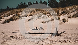 Cloudy beach, The Baltic Sea, Poland.