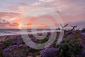 Cloudy Beach Sunset