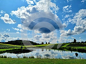 Cloudy blue sky green fields agricultural landscape
