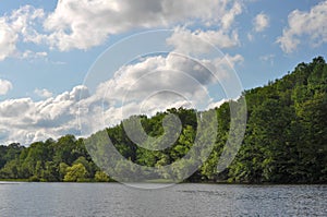 Cloudy Blue Sky and Green Trees Bordering a Lake