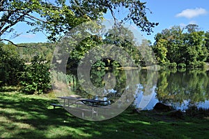 Cloudy Blue Sky and Green Trees Reflection in a Lake with a Picnic Table