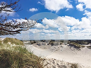 Cloudy blue sky over ocean and grassy dune