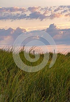 Cloudy day at the Beach