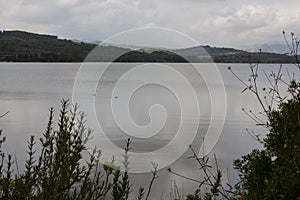 Cloudy day at the Beniarres swamp in Comunidad Valenciana, Spain photo