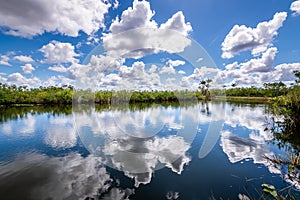 Cloudy day at Everglades National Park