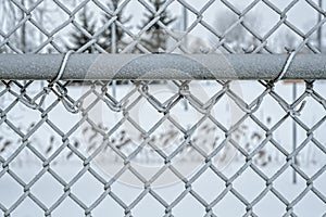 Cloudy day Frost on a fence