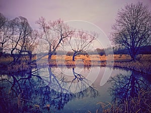 Cloudy day at the lake. water reflecting clouds