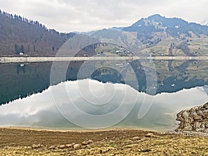 Cloudy day during late winter on the WÃ¤gitalersee Waegitalersee or Wagitalersee Lake in the WÃ¤gital / Waegital or Wagital